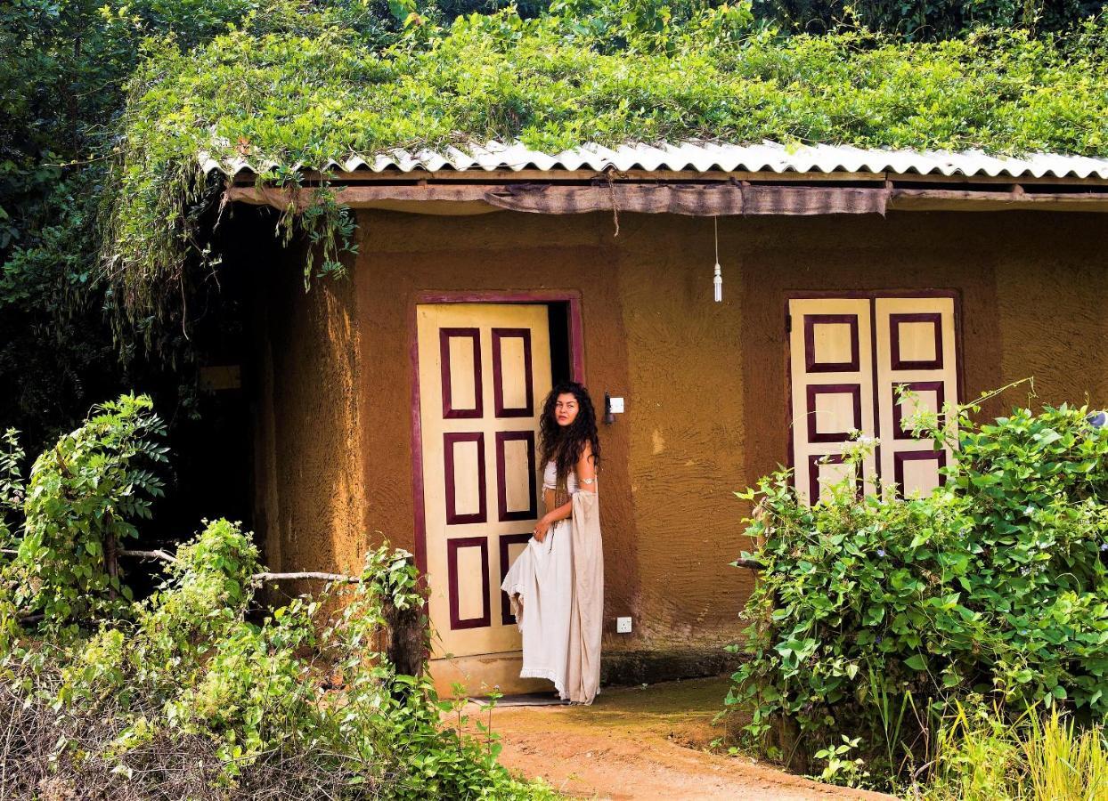 Mahagedara Wellness Retreat Hotel Avudangawa Exterior photo