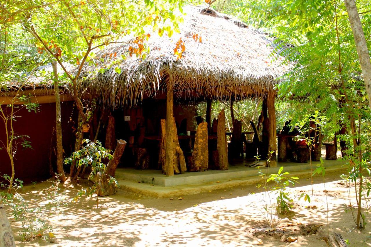 Mahagedara Wellness Retreat Hotel Avudangawa Exterior photo